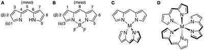 Functional Supramolecular Architectures of Dipyrrin Complexes